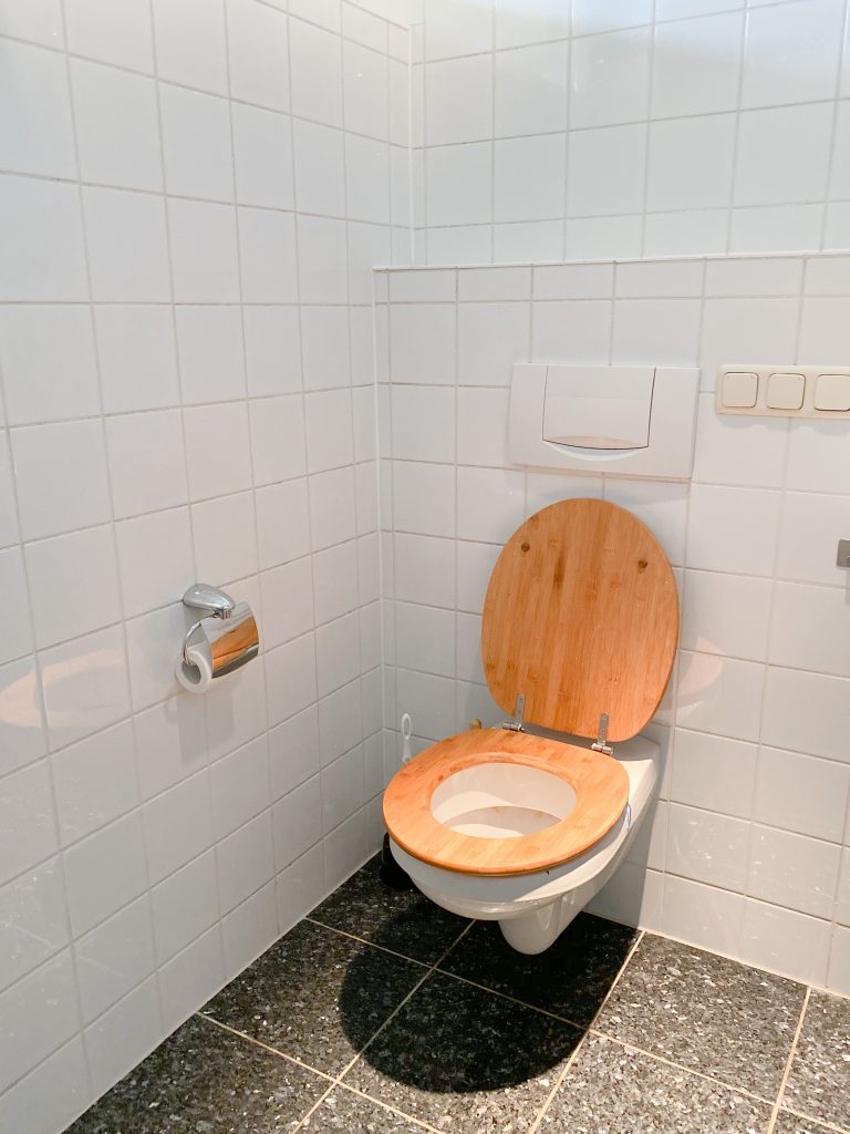 commercial plumber Brisbane - toielt with brown seat and lid